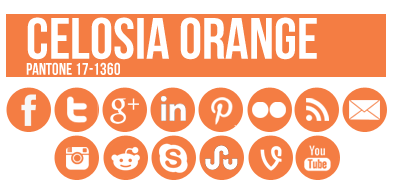 Social Media Icons Orange