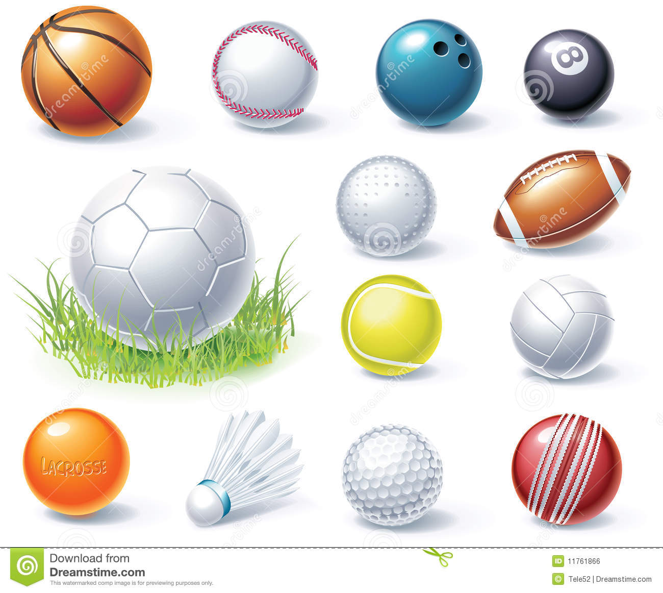 Sports Equipment Free Vector Icon