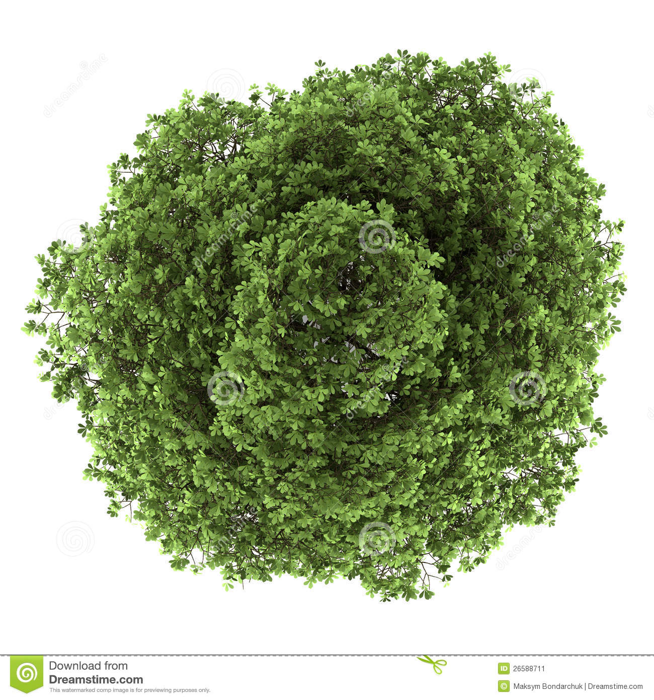 Top View Trees Plans Top View Trees Plans