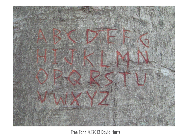 Tree Carved Font