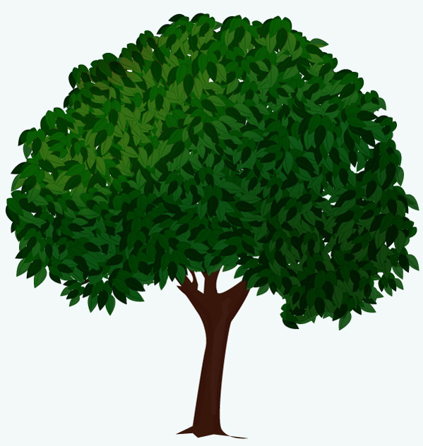 Trees Drawing in Illustrator