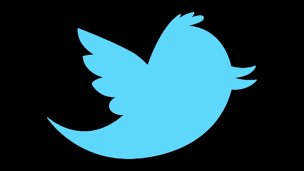 Twitter Bird Logo Vector