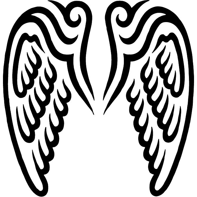 Vector Wings Graphics