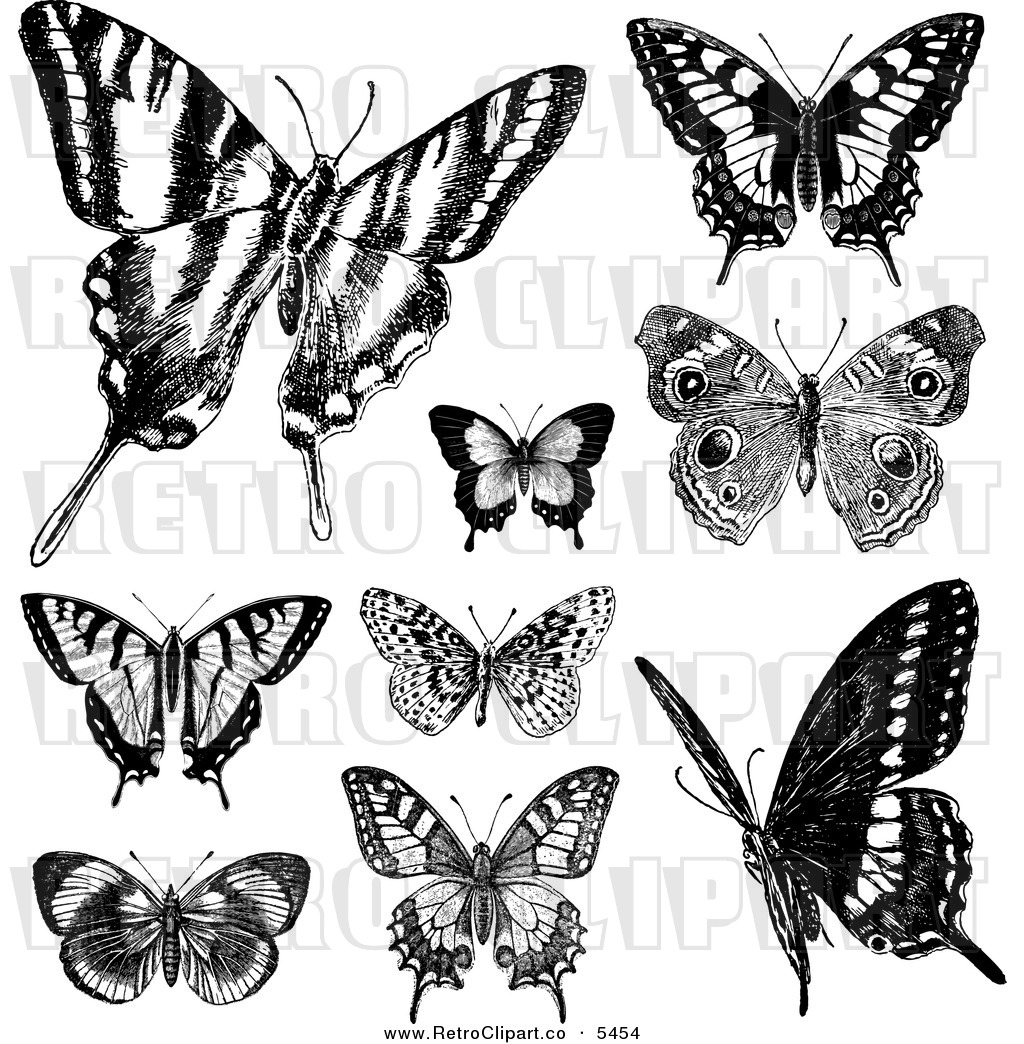 Vintage Black and White Butterflies
