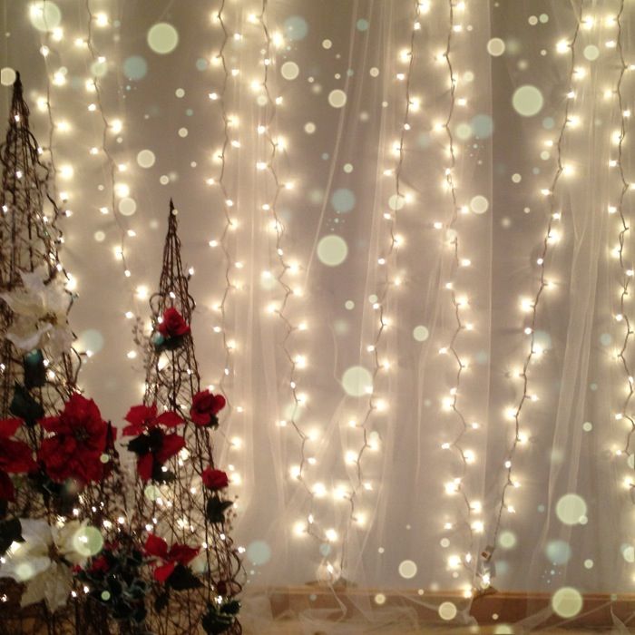 White Christmas Light Backdrop