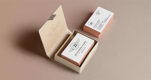 Business Card Mockup Free