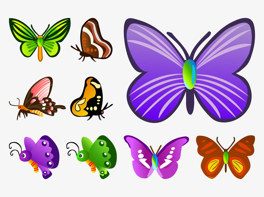 Cartoon Butterfly Vector