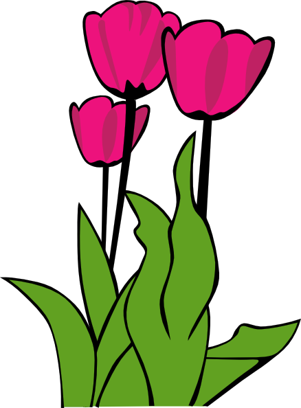 Cartoon Tulip Flower Clip Art Free Cartoon Tulip Flower Clip Art Free