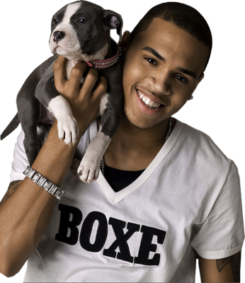 Chris Brown with a Puppy Chris Brown with a Puppy