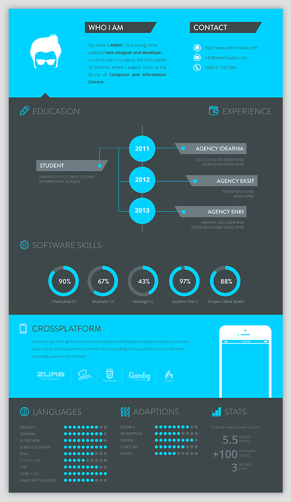 Creative Graphic Design Resume Examples of Infographics
