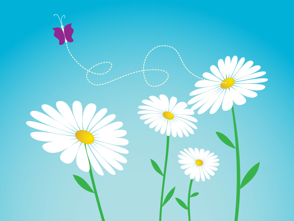 Daisy Flower Vector