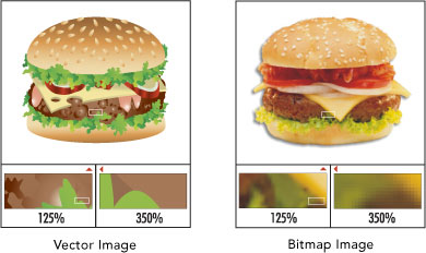 Difference Between Bitmap and Vector