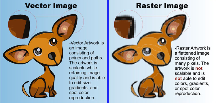 Difference Between Vector and Raster Graphics