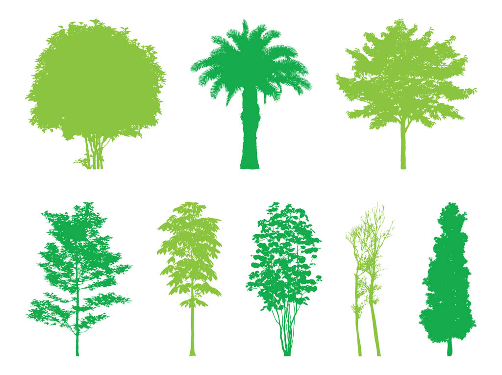 Evergreen Tree Silhouette Vector Free