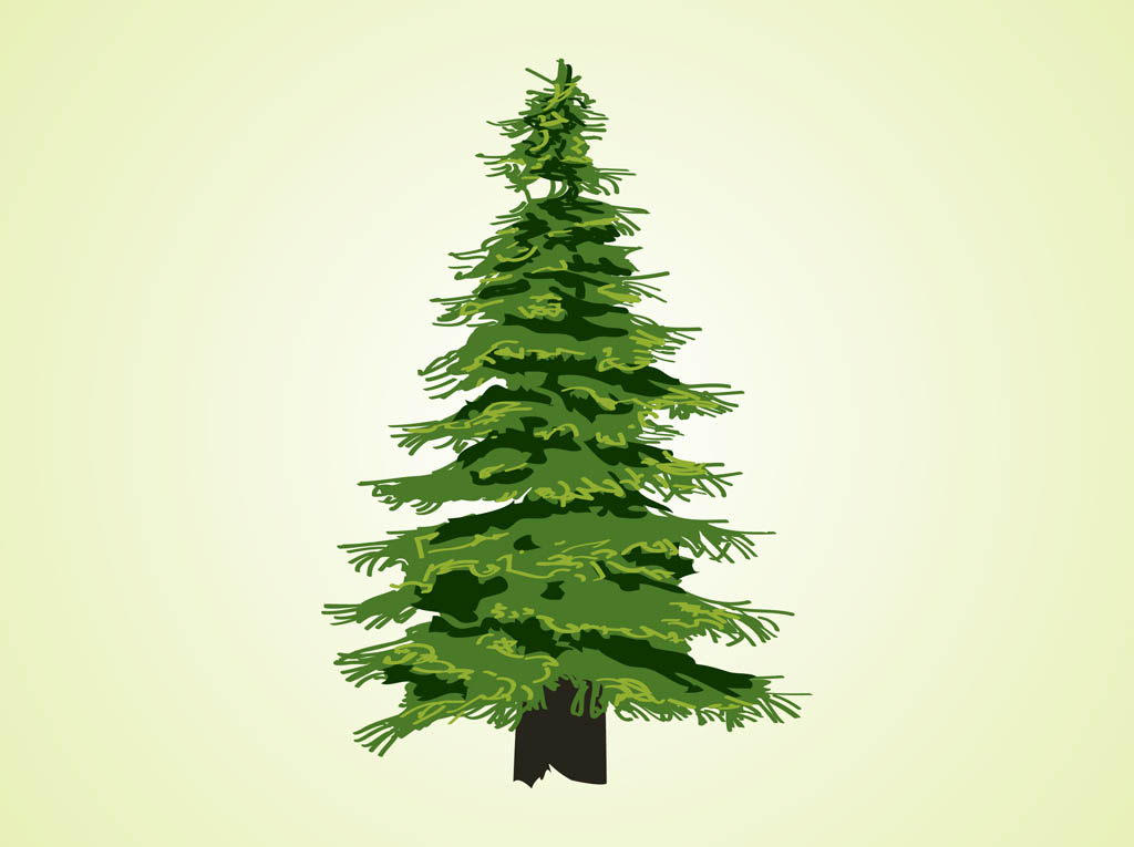 Evergreen Tree Vector Evergreen Tree Vector