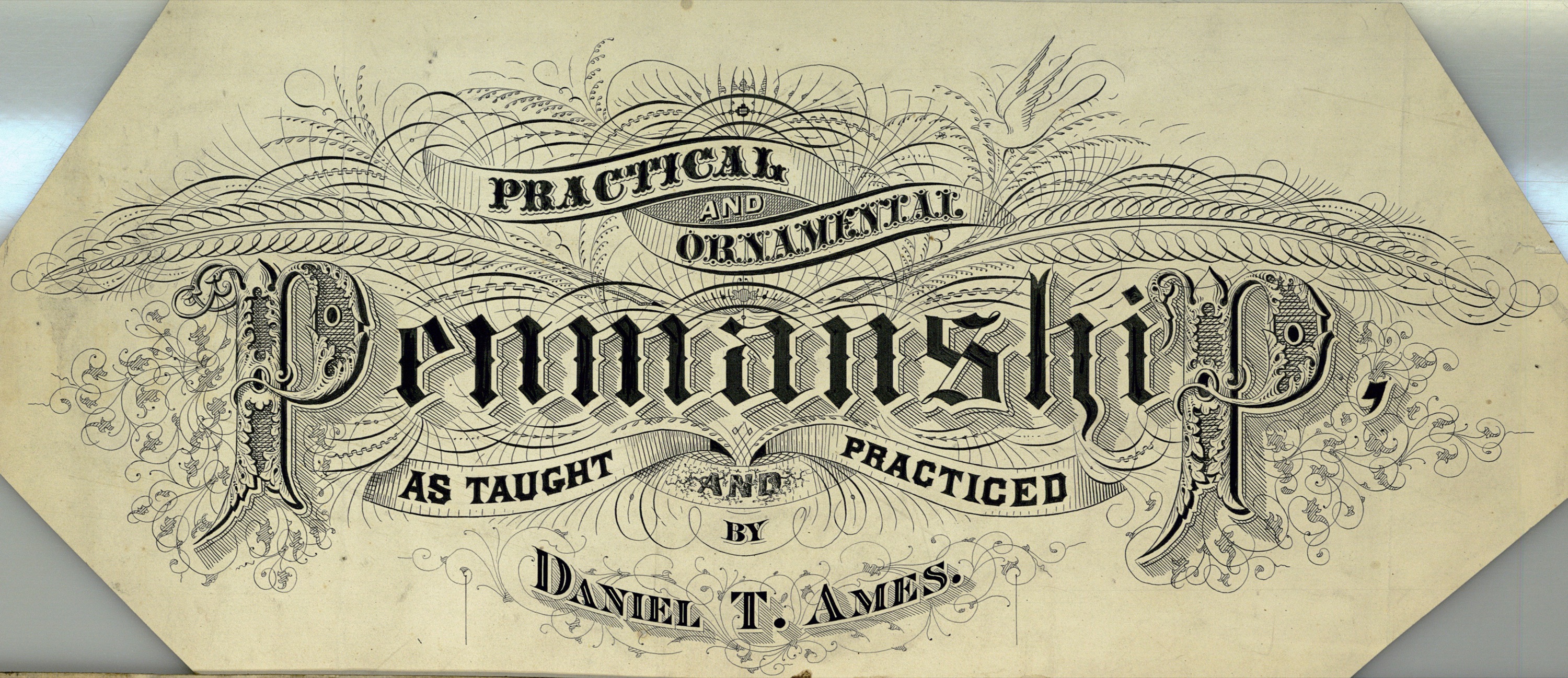 Flourish Vintage Typography Fonts