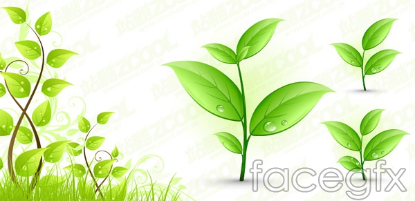 Free Plant Vector Graphics Free Plant Vector Graphics
