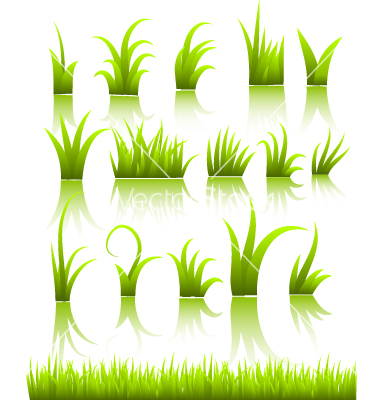 Grass Vector