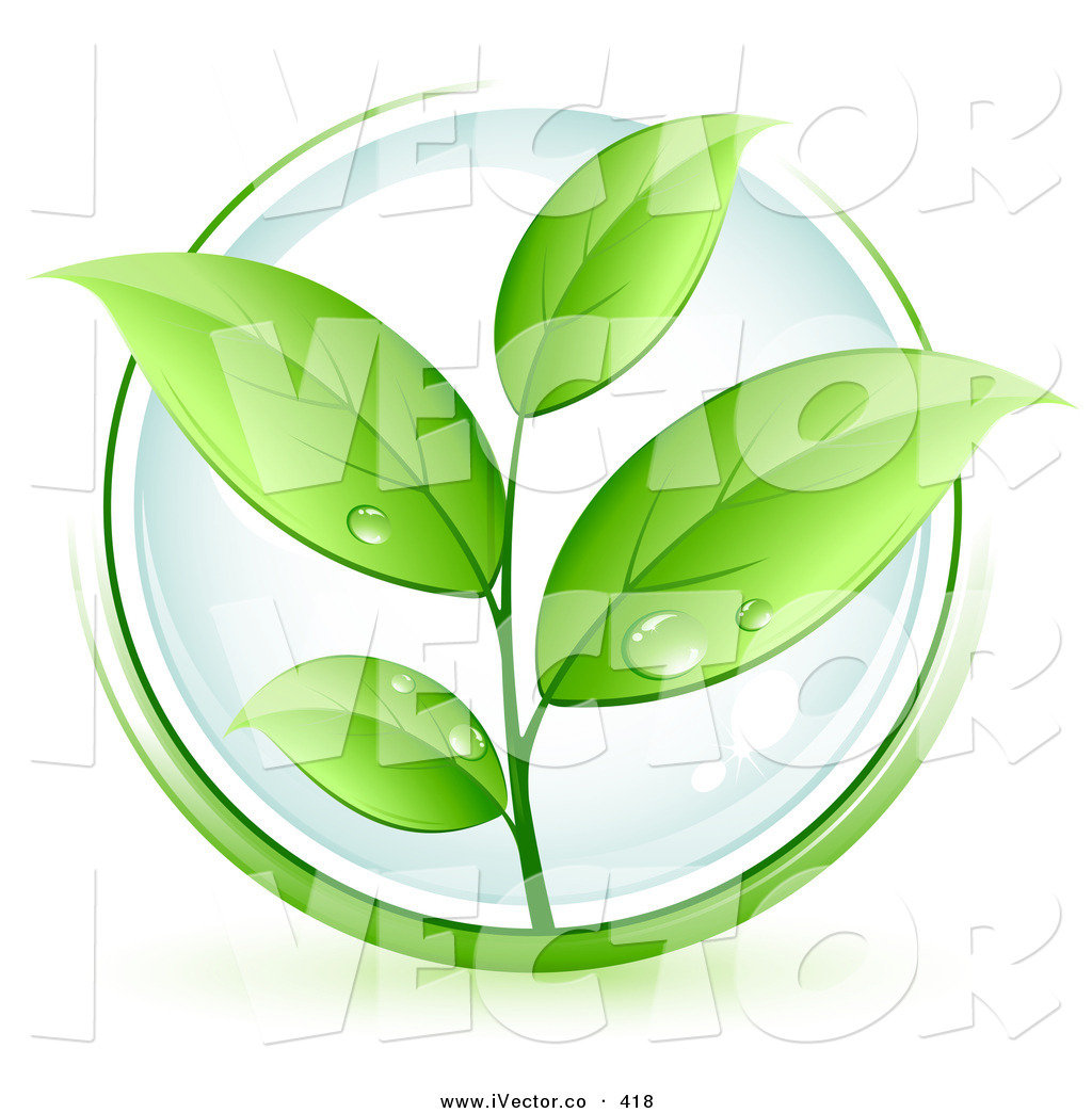 Green Plant with White Leaves