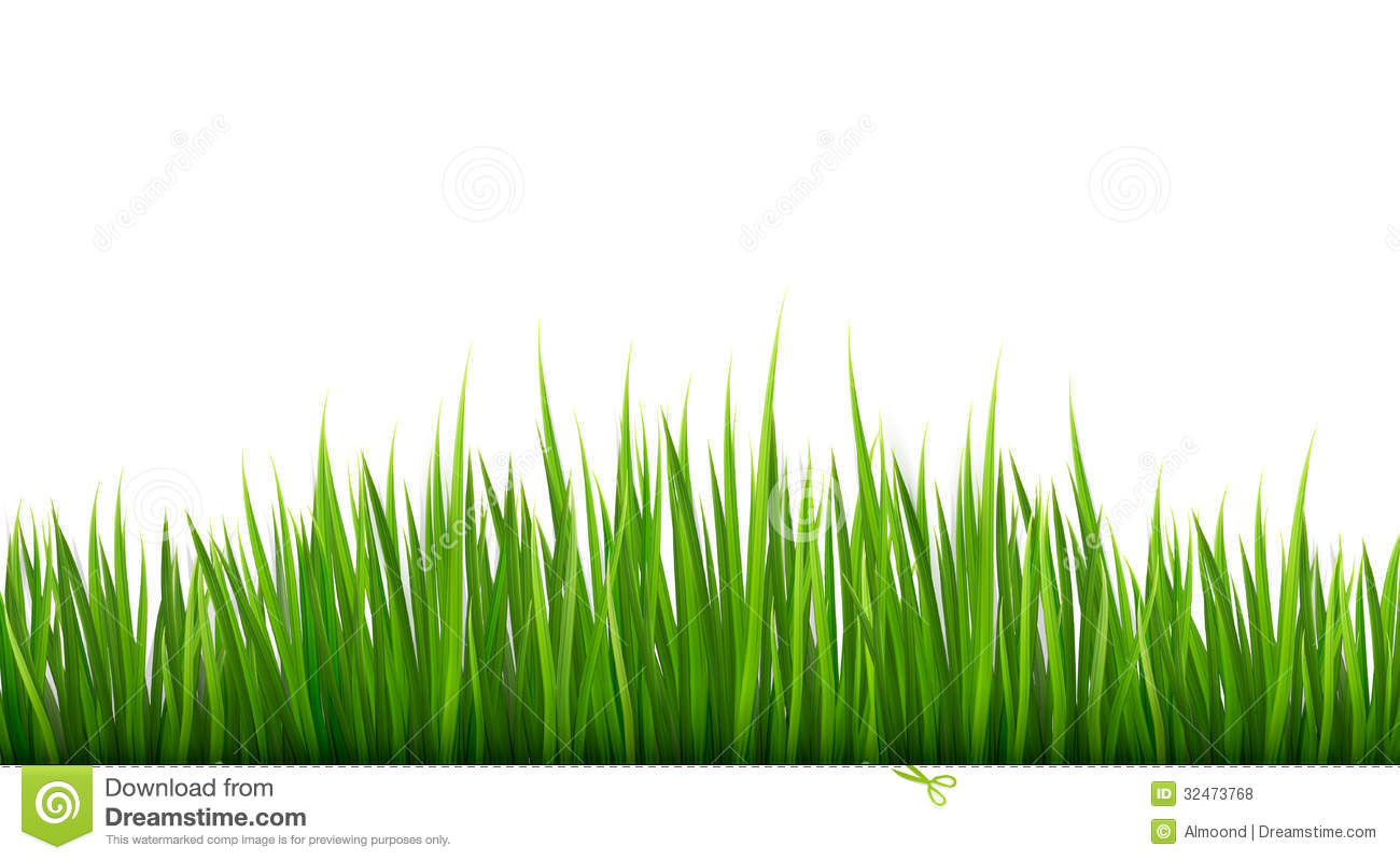 vector free download grass - photo #16