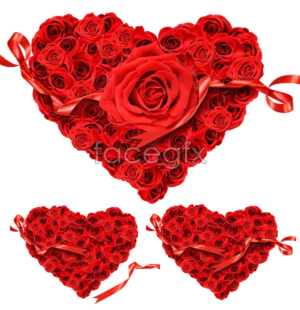 Heart Shaped Rose Bush Heart Shaped Rose Bush