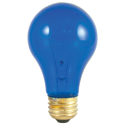 Incandescent Light Bulb Blue