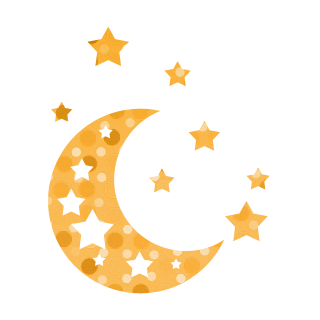 Moon and Stars Icon