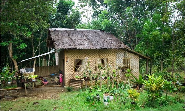 Philippine Native House Design Bamboo