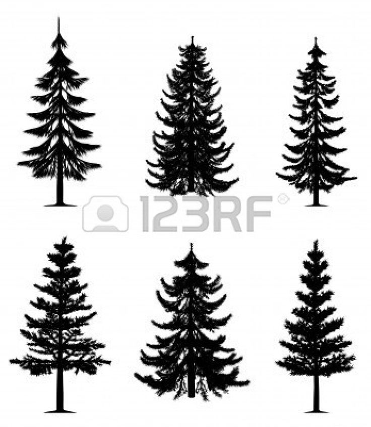 Pine Tree Silhouette Tattoo