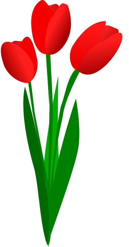 Red Tulips Clip Art Free Red Tulips Clip Art Free