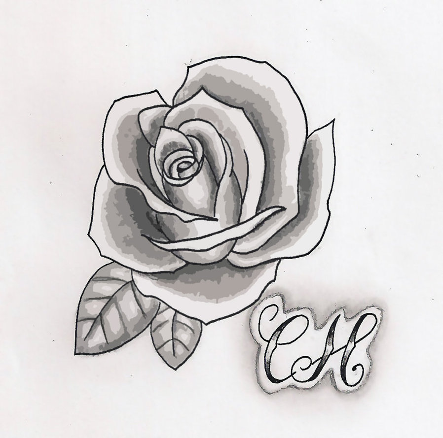 Rose Drawings Black and White