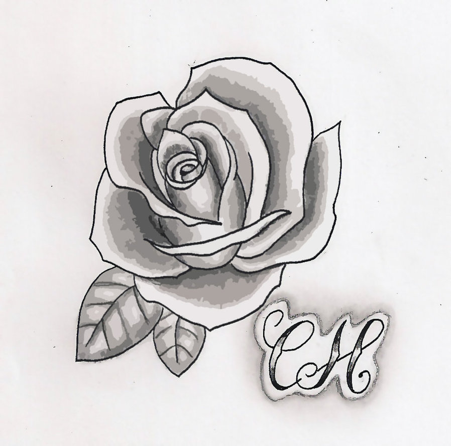 Rose Drawings Black and White Rose Drawings Black and White