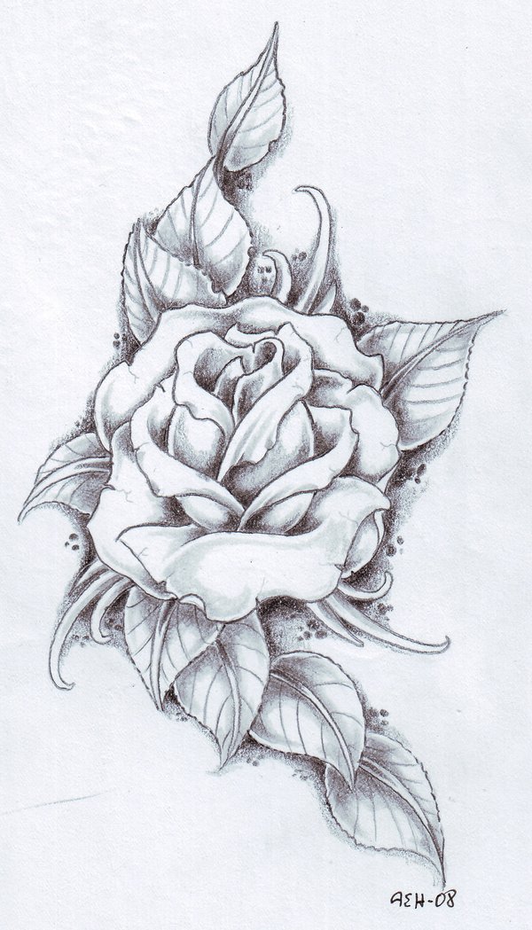 Rose Tattoo Designs Drawings