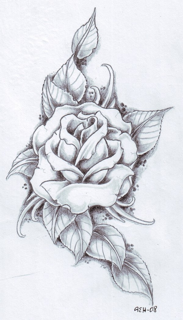 Rose Tattoo Designs Drawings Rose Tattoo Designs Drawings