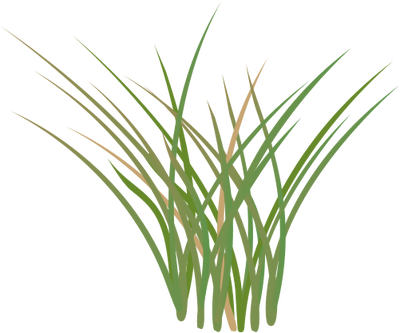 17 Symbol Of Free Vector Grass Images