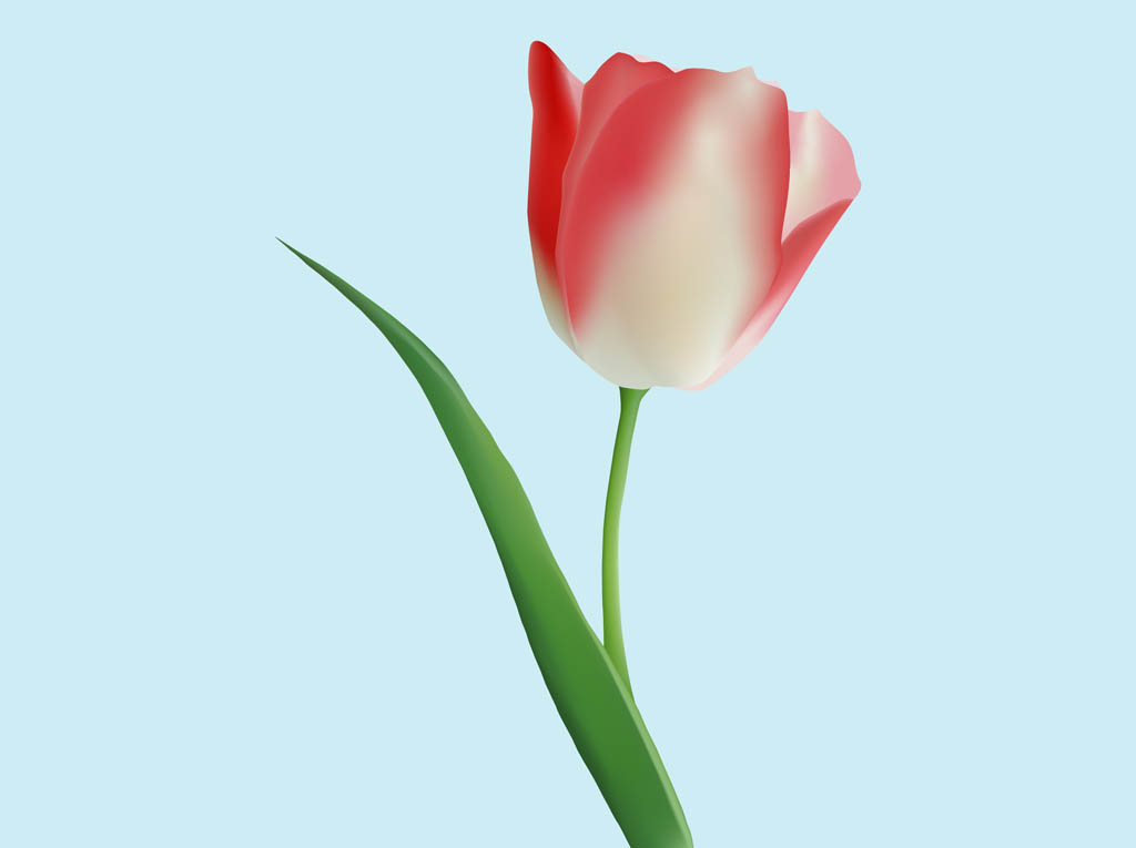 Tulip Clip Art Vector Tulip Clip Art Vector