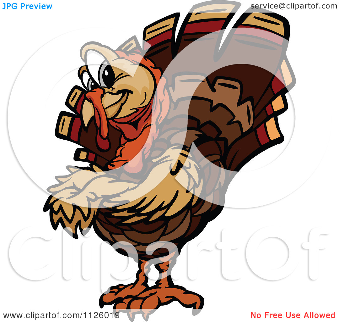 Turkey Bird Cartoon