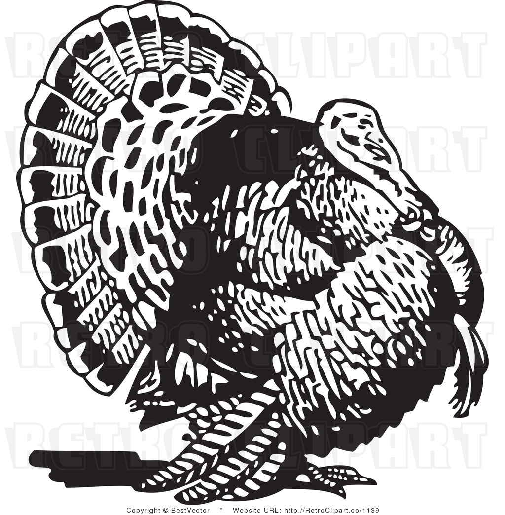 Turkey Clip Art Black and White