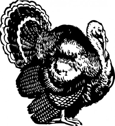 Turkey Clip Art Black and White