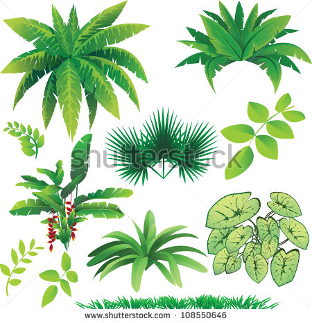 Vector Jungle Plants