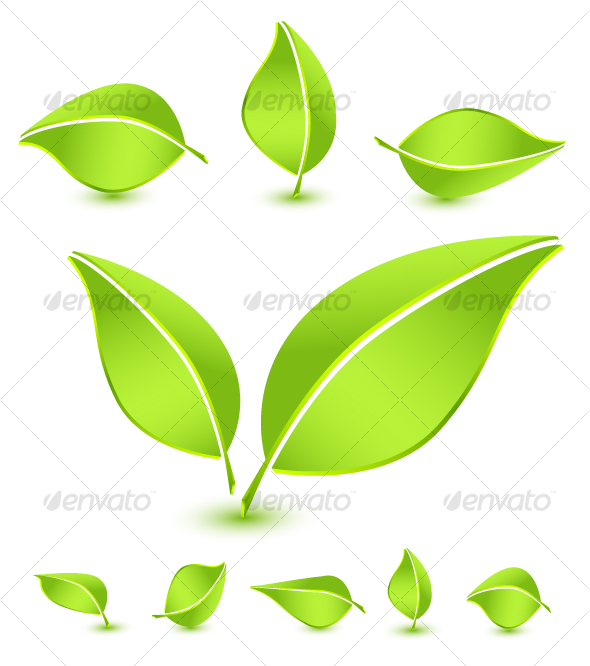 Vector Leaf Icon