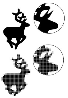 Vector vs Bitmap Graphics Vector vs Bitmap Graphics