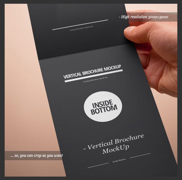 Vertical Fold Brochure Design PSD