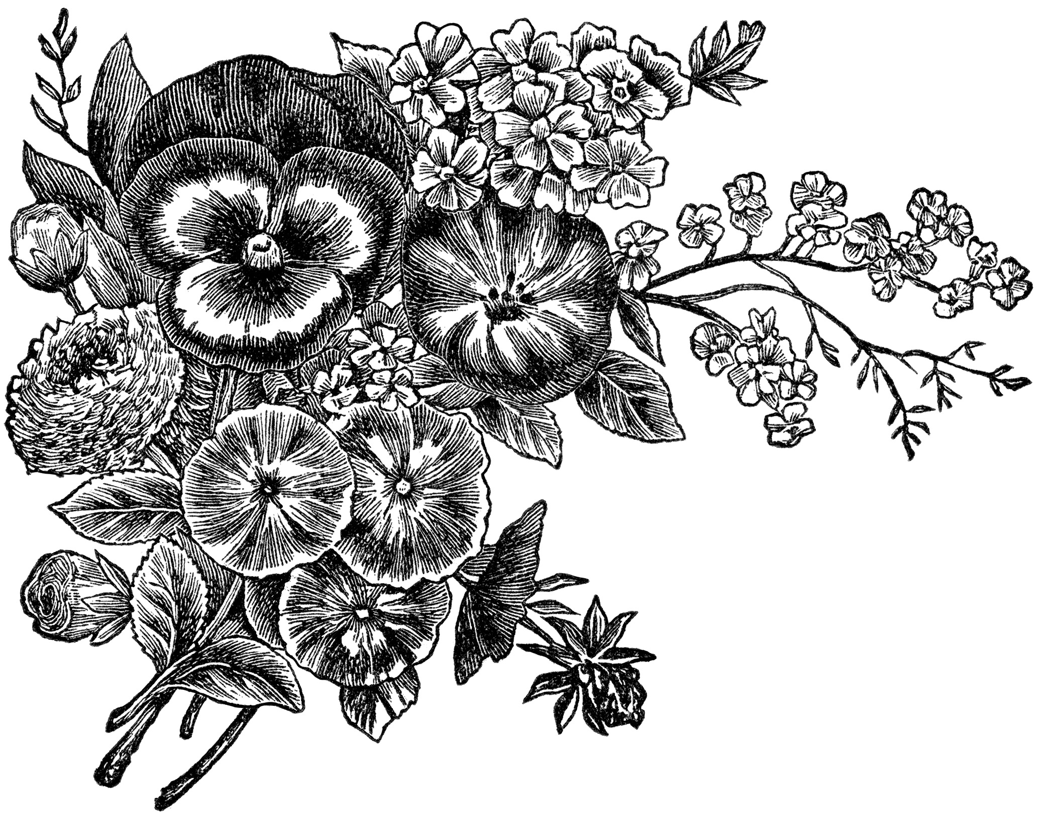 Vintage Black and White Flower Clip Art