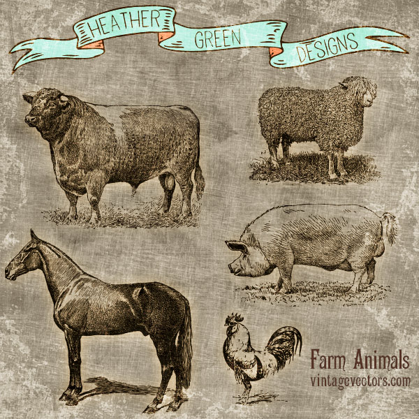 Vintage Farm Animal Art