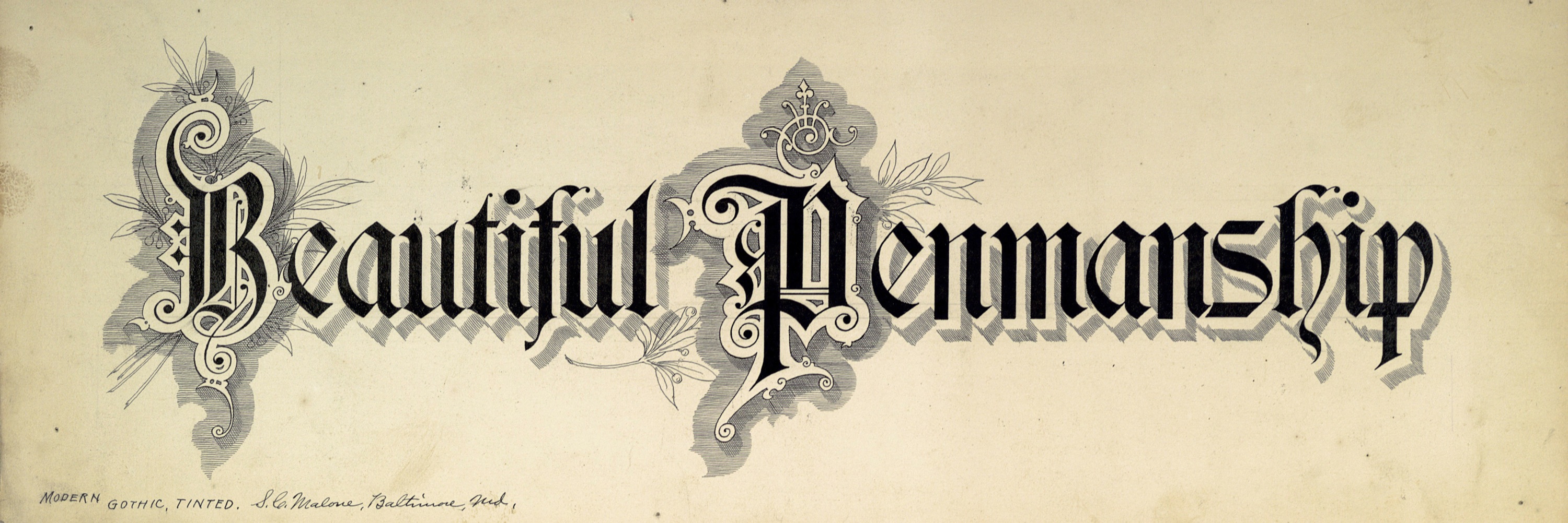Vintage Typography Fonts