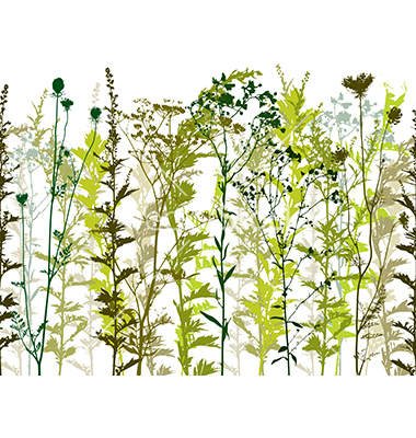 Weed Plant Vector Free Weed Plant Vector Free