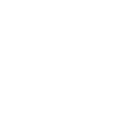 White Book Icon