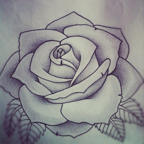 15 Rose Design Black And White Images