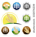 Whole Grain Food Product Labels